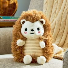 Spark-Create-ImagineHedgehogPlushToy-101-_5 - USA Mega Market