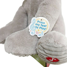 SparkCreateImaginePeek-a-BooGreyKoala-forAllAges1-_7 - USA Mega Market
