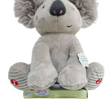 SparkCreateImaginePeek-a-BooGreyKoala-forAllAges5-_3 - USA Mega Market