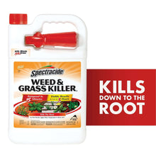Spectracide-Weed-Grass-Killer-Re-_1 - USA Mega Market