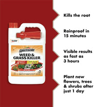 Spectracide-Weed-Grass-Killer-Re1-9451f86c-87b1-40d4-a922-844813088062-_2 - USA Mega Market