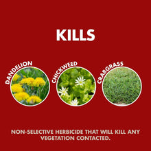 Spectracide-Weed-Grass-Killer-Re2-c3c27127-bfeb-44a7-a6ec-15d15c5417d1-_3 - USA Mega Market