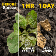 Spruce-Snap-Spray-Weed-Grass-Kil3-_4 - USA Mega Market