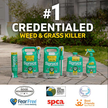 Spruce-Snap-Spray-Weed-Grass-Kil4-_5 - USA Mega Market