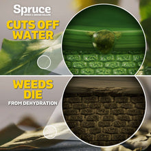 Spruce-Snap-Spray-Weed-Grass-Kil5-_6 - USA Mega Market