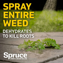 Spruce-Snap-Spray-Weed-Grass-Kil6-_7 - USA Mega Market