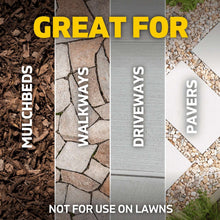 Spruce-Snap-Spray-Weed-Grass-Kil7-_8 - USA Mega Market