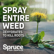 SpruceWeed-GrassKillerKit-1PowerSprayStarterKitand1Refill-64ozx64oz-_9 - USA Mega Market