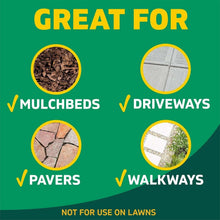 SpruceWeed-GrassKillerKit-1PowerSprayStarterKitand1Refill-64ozx64oz1-_8 - USA Mega Market