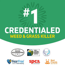 SpruceWeed_GrassKillerKit_1PowerSprayStarterKitand1Refill_64ozx64oz6 - USA Mega Market