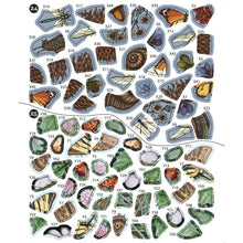 StickerByNumberVintageForest-Paperback2-_3 - USA Mega Market