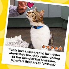 TEMPTATIONSCatTreatsVarietyPackwithTastyChickenFlavor-CatnipFever-Surfers-Delight-16oz-3tubs3-_11 - USA Mega Market
