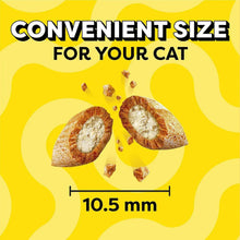 TEMPTATIONSCatTreatsVarietyPackwithTastyChickenFlavor-CatnipFever-Surfers-Delight-16oz-3tubs7-_7 - USA Mega Market
