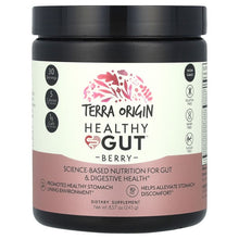 TerraOrigin_HealthyGut_Berry_8.57oz_243g - USA Mega Market