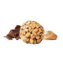 TheGlutenFreeBrothersVarietyBites_6count3_3454b610-0777-40d5-901a-1af33f099219 - USA Mega Market