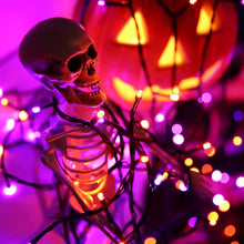ToodourOrange_PurpleHalloweenLights_82ft200LEDPlugin2 - USA Mega Market