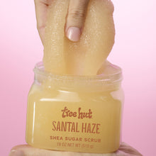 Tree Hut Santal Haze Shea Butter Sugar Body Scrub, 18 oz