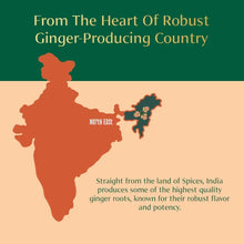 VAHDAM_OrganicGingerPowder_2.47oz_Non-GMO_Madefrom100_RawGingerRoot_DirectfromSource3_a363d29d-e0b6-4380-b6b8-d65789f4fcee - USA Mega Market