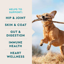 VETIQ-8-In-1-Multi-Benefit-Soft-Dog-Chews-Hickory-Smoke-Flavored-60-ct-2-pk-2-_5 - USA Mega Market