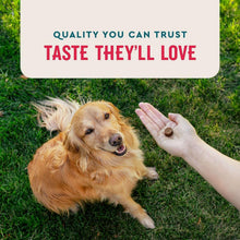VETIQ-8-In-1-Multi-Benefit-Soft-Dog-Chews-Hickory-Smoke-Flavored-60-ct-2-pk-3-_4 - USA Mega Market
