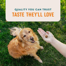 VETIQSkin-CoatSoftDogChews-HickorySmokeFlavored-60ct-2pk-2-_4 - USA Mega Market