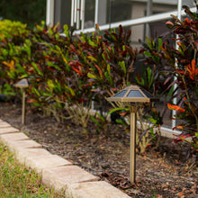 VOLTPremiumSolidBrassOutdoorSolarPathLights_2-pack6 - USA Mega Market