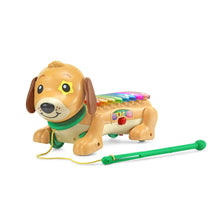 VTech Zoo Jamz Doggy Xylophone with Accessories, Baby and Toddler Toys