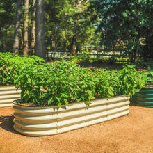 VegoGarden14_Tall6in1ModularMetalRaisedGardenBedKit2 - USA Mega Market