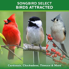 Vibrant-Life-20-Birdwatchers-Bir3 - USA Mega Market