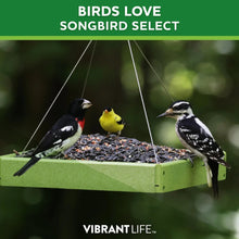 Vibrant Life Songbird Select Wild Bird Seed, 20 lb Bag