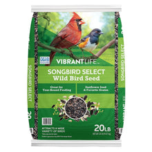 Vibrant-Life-20-Birdwatchers-Bir - USA Mega Market