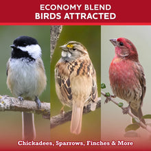 Vibrant-Life-20-Economy-Single-B3 - USA Mega Market