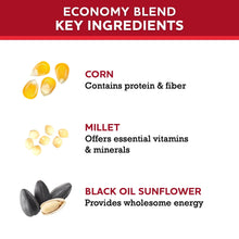 Vibrant-Life-20-Economy-Single-B4 - USA Mega Market