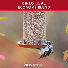 Vibrant-Life-20-Economy-Single-B5 - USA Mega Market