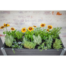 Vita_Urbana_Greens_Elevated_Garden2 - USA Mega Market