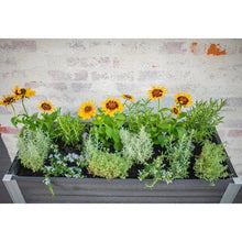 Vita Urbana Greens Elevated Garden