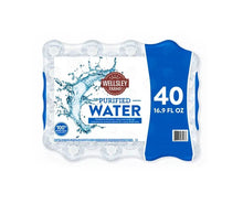 Pack of 2 Wellsley Farms Water, 16.9 fl oz (40-pk)