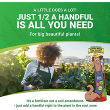 Wiggle-Worm-Pure-Organic-Worm-Ca1 - USA Mega Market