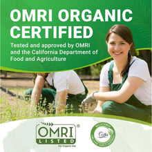 Wiggle-Worm-Pure-Organic-Worm-Ca2 - USA Mega Market