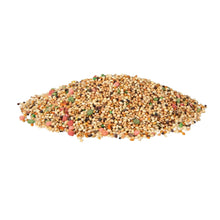Wild-Harvest-Parakeet-Canary-Fin3_a4d2afce-59ce-433d-b915-8b966203387e - USA Mega Market