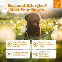 ZestyPawsAllergy-Immune-Salmon-160ct-2-_4 - USA Mega Market