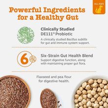 ZestyPawsProbioticBites-Pumpkin-160ct-1-_5 - USA Mega Market
