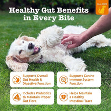 ZestyPawsProbioticBites-Pumpkin-160ct-2-_4 - USA Mega Market