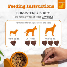 ZestyPawsProbioticBites-Pumpkin-160ct-_6 - USA Mega Market
