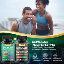 Zoyava Dynamic Vitality Bundle, Sea Moss and Shilajit Bundle, Sea Moss 7000mg, Black Seed Oil 4000mg, Ashwagandha 2000mg, Ginger & Shilajit 9000mg, Rhodiola Rosea 1000mg, Panax Ginseng (60 Count)