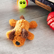 Vibrant Life Cozy Buddy Floppy Dog Toy, Chew Level 1