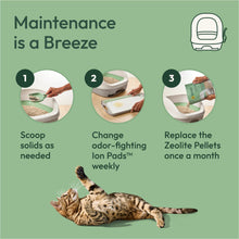 Purina Tidy Cats Breeze Covered Cat Litter Box System Kit with Pellet Cat Litter, Hooded Litter Box, and Litter Box Pads