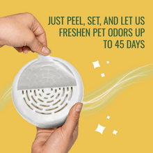 Citrus Magic Pet Deodorizing Solid Air Freshener for Pet Homes, Fresh Citrus - 8 oz