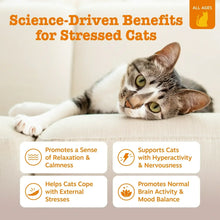 Zesty Paws Calming Bites for Cats, for Calmness, Composure & Relaxation, Bacon 30 ct