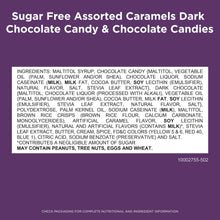 RUSSELL STOVER Sugar Free Assorted Caramels in Chocolate Candy, 15.3 oz. bag
